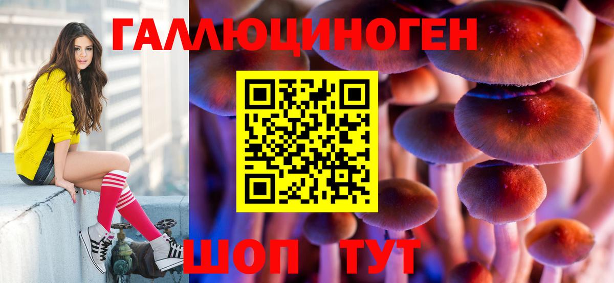 где найти наркотики  Галлюциногенные грибы мицелий  Вход с VPN  Владимир  Галлюциногенные грибы мицелий 